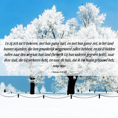 Picture 06 - 1 Koningen 8:48 NLD - En zij zich tot U bekeren, met hun ganse hart, en - Bible Verse Picture