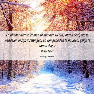 Picture 06 - 1 Koningen 8:61 NLD - En ulieder hart volkomen zij met den HEERE, onzen - Bible Verse Picture