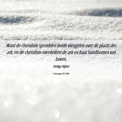 Picture 06 - 1 Koningen 8:7 NLD - Want de cherubim spreidden beide vleugelen over - Bible Verse Picture