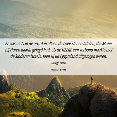 Picture 06 - 1 Koningen 8:9 NLD - Er was niets in de ark, dan alleen de twee stenen - Bible Verse Picture