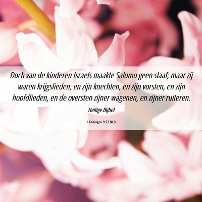 Picture 06 - 1 Koningen 9:22 NLD - Doch van de kinderen Israels maakte Salomo geen - Bible Verse Picture