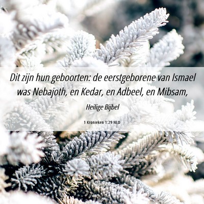 Picture 06 - 1 Kronieken 1:29 NLD - Dit zijn hun geboorten: de eerstgeborene van - Bible Verse Picture