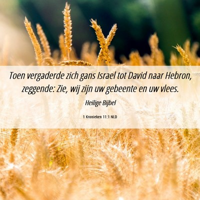 Picture 06 - 1 Kronieken 11:1 NLD - Toen vergaderde zich gans Israel tot David naar - Bible Verse Picture