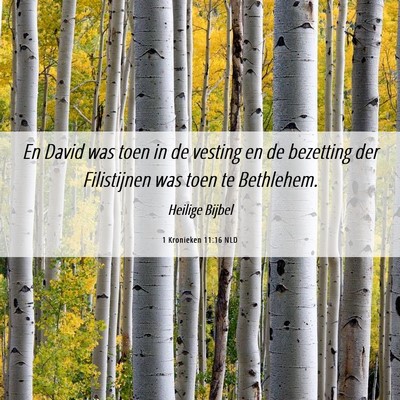 Picture 06 - 1 Kronieken 11:16 NLD - En David was toen in de vesting en de bezetting - Bible Verse Picture