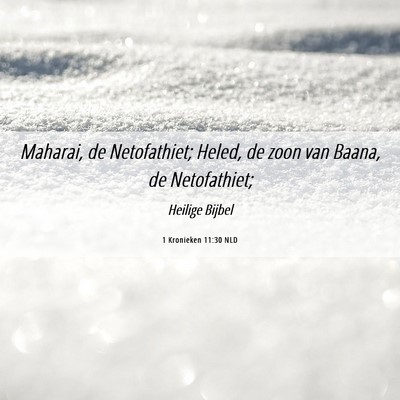 Picture 06 - 1 Kronieken 11:30 NLD - Maharai, de Netofathiet; Heled, de zoon van - Bible Verse Picture