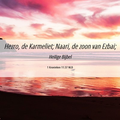 Picture 06 - 1 Kronieken 11:37 NLD - Hezro, de Karmeliet; Naari, de zoon van - Bible Verse Picture