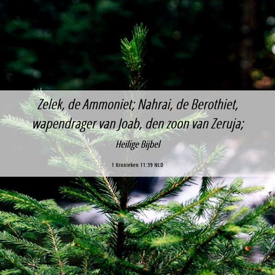 Picture 06 - 1 Kronieken 11:39 NLD - Zelek, de Ammoniet; Nahrai, de Berothiet, - Bible Verse Picture