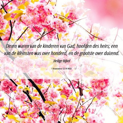 Picture 06 - 1 Kronieken 12:14 NLD - Dezen waren van de kinderen van Gad, hoofden des - Bible Verse Picture