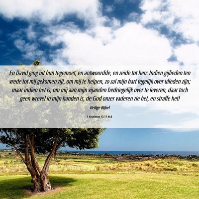 Picture 06 - 1 Kronieken 12:17 NLD - En David ging uit hun tegemoet, en antwoordde, en - Bible Verse Picture