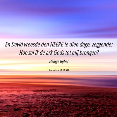 Picture 06 - 1 Kronieken 13:12 NLD - En David vreesde den HEERE te dien dage, - Bible Verse Picture
