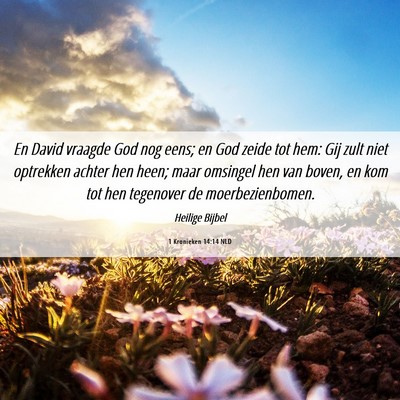 Picture 06 - 1 Kronieken 14:14 NLD - En David vraagde God nog eens; en God zeide tot - Bible Verse Picture