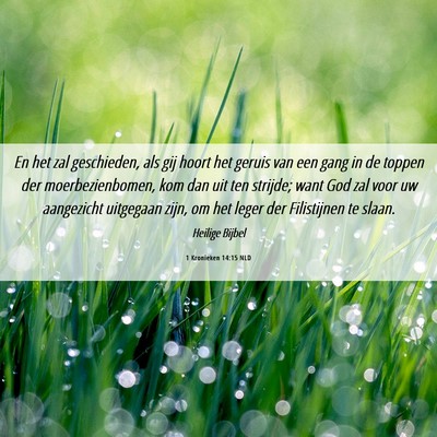 Picture 06 - 1 Kronieken 14:15 NLD - En het zal geschieden, als gij hoort het geruis - Bible Verse Picture