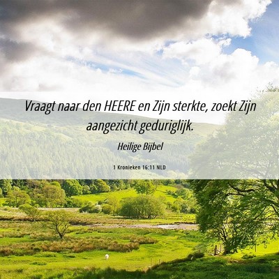 Picture 06 - 1 Kronieken 16:11 NLD - Vraagt naar den HEERE en Zijn sterkte, zoekt Zijn - Bible Verse Picture