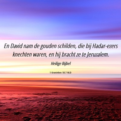 Picture 06 - 1 Kronieken 18:7 NLD - En David nam de gouden schilden, die bij - Bible Verse Picture