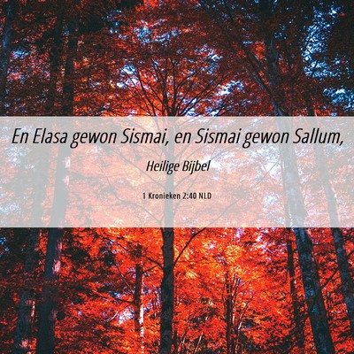 Picture 06 - 1 Kronieken 2:40 NLD - En Elasa gewon Sismai, en Sismai gewon - Bible Verse Picture