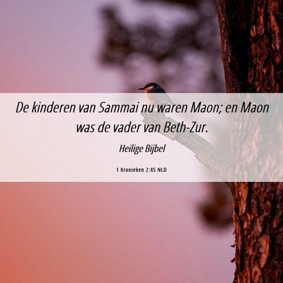 Picture 06 - 1 Kronieken 2:45 NLD - De kinderen van Sammai nu waren Maon; en Maon was - Bible Verse Picture