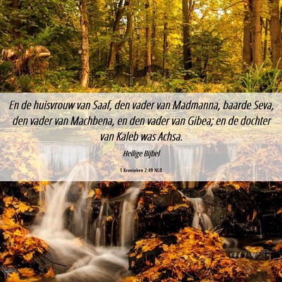 Picture 06 - 1 Kronieken 2:49 NLD - En de huisvrouw van Saaf, den vader van Madmanna, - Bible Verse Picture