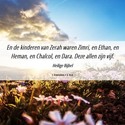 Picture 06 - 1 Kronieken 2:6 NLD - En de kinderen van Zerah waren Zimri, en Ethan, - Bible Verse Picture