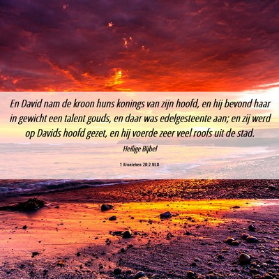 Picture 06 - 1 Kronieken 20:2 NLD - En David nam de kroon huns konings van zijn - Bible Verse Picture