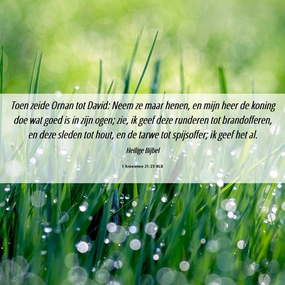 Picture 06 - 1 Kronieken 21:23 NLD - Toen zeide Ornan tot David: Neem ze maar henen, - Bible Verse Picture