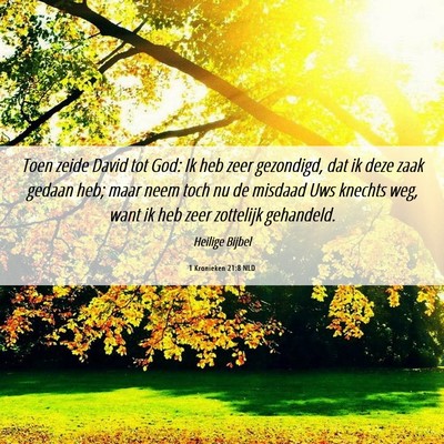 Picture 06 - 1 Kronieken 21:8 NLD - Toen zeide David tot God: Ik heb zeer gezondigd, - Bible Verse Picture