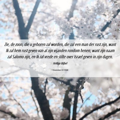 Picture 06 - 1 Kronieken 22:9 NLD - Zie, de zoon, die u geboren zal worden, die zal - Bible Verse Picture