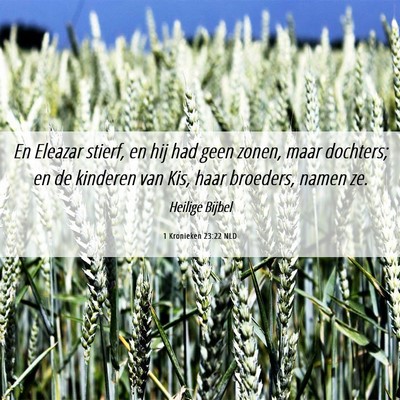 Picture 06 - 1 Kronieken 23:22 NLD - En Eleazar stierf, en hij had geen zonen, maar - Bible Verse Picture