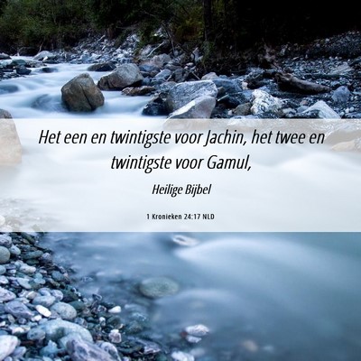 Picture 06 - 1 Kronieken 24:17 NLD - Het een en twintigste voor Jachin, het twee en - Bible Verse Picture