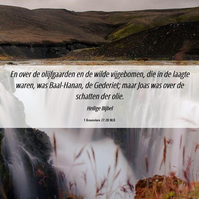Picture 06 - 1 Kronieken 27:28 NLD - En over de olijfgaarden en de wilde vijgebomen, - Bible Verse Picture