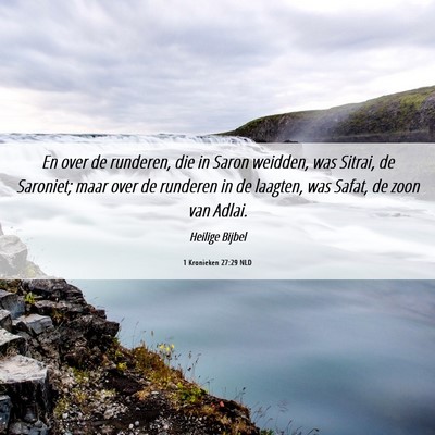 Picture 06 - 1 Kronieken 27:29 NLD - En over de runderen, die in Saron weidden, was - Bible Verse Picture