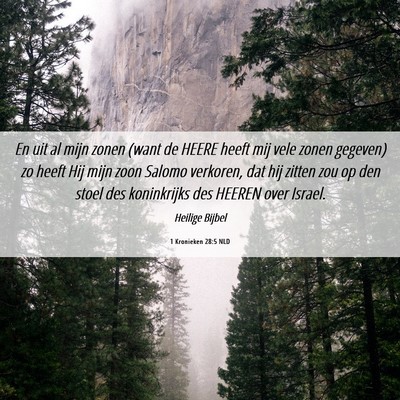 Picture 06 - 1 Kronieken 28:5 NLD - En uit al mijn zonen (want de HEERE heeft mij - Bible Verse Picture