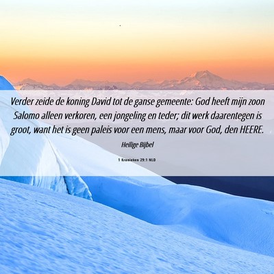 Picture 06 - 1 Kronieken 29:1 NLD - Verder zeide de koning David tot de ganse - Bible Verse Picture