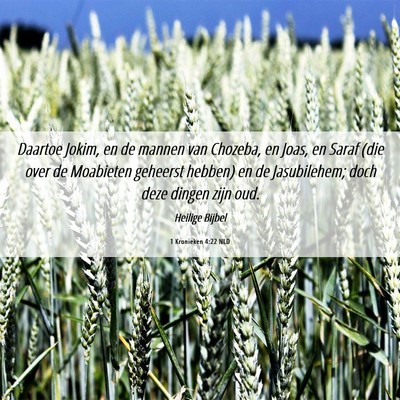 Picture 06 - 1 Kronieken 4:22 NLD - Daartoe Jokim, en de mannen van Chozeba, en Joas, - Bible Verse Picture