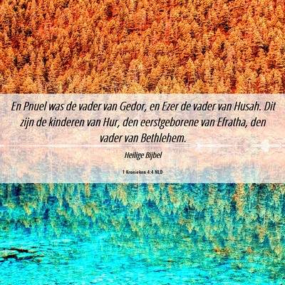 Picture 06 - 1 Kronieken 4:4 NLD - En Pnuel was de vader van Gedor, en Ezer de vader - Bible Verse Picture