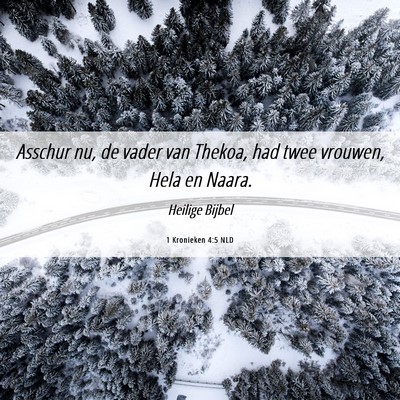 Picture 06 - 1 Kronieken 4:5 NLD - Asschur nu, de vader van Thekoa, had twee - Bible Verse Picture