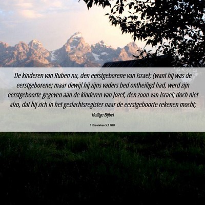 Picture 06 - 1 Kronieken 5:1 NLD - De kinderen van Ruben nu, den eerstgeborene van - Bible Verse Picture