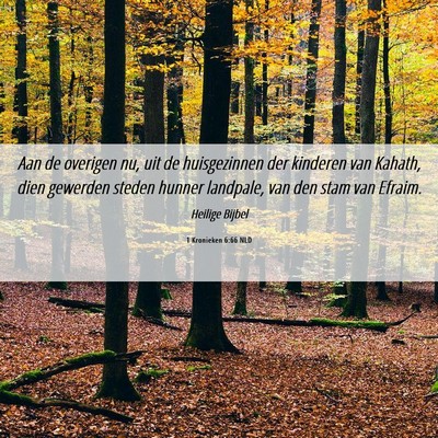 Picture 06 - 1 Kronieken 6:66 NLD - Aan de overigen nu, uit de huisgezinnen der - Bible Verse Picture