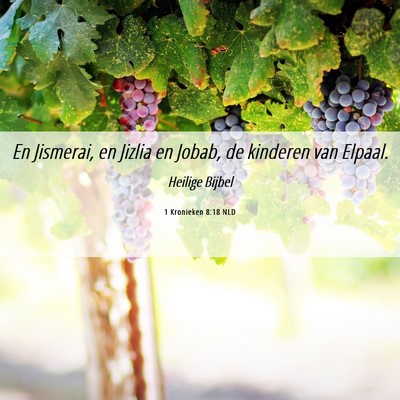 Picture 06 - 1 Kronieken 8:18 NLD - En Jismerai, en Jizlia en Jobab, de kinderen van - Bible Verse Picture