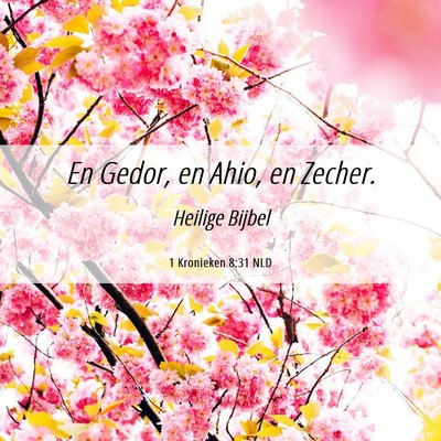 Picture 06 - 1 Kronieken 8:31 NLD - En Gedor, en Ahio, en - Bible Verse Picture