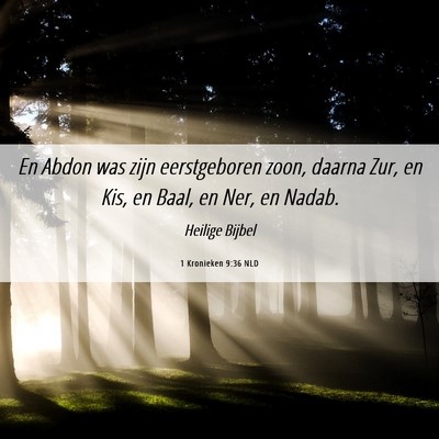 Picture 06 - 1 Kronieken 9:36 NLD - En Abdon was zijn eerstgeboren zoon, daarna Zur, - Bible Verse Picture