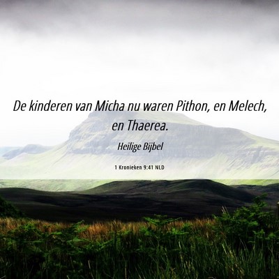 Picture 06 - 1 Kronieken 9:41 NLD - De kinderen van Micha nu waren Pithon, en Melech, - Bible Verse Picture