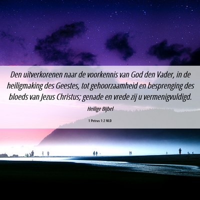 Picture 06 - 1 Petrus 1:2 NLD - Den uitverkorenen naar de voorkennis van God den - Bible Verse Picture