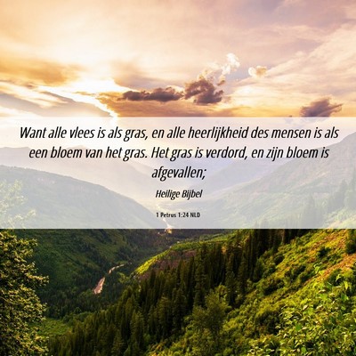 Picture 06 - 1 Petrus 1:24 NLD - Want alle vlees is als gras, en alle heerlijkheid - Bible Verse Picture