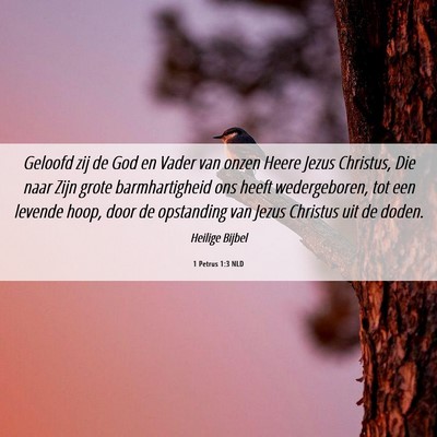 Picture 06 - 1 Petrus 1:3 NLD - Geloofd zij de God en Vader van onzen Heere Jezus - Bible Verse Picture