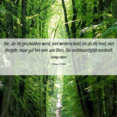 Picture 06 - 1 Petrus 2:23 NLD - Die, als Hij gescholden werd, niet wederschold, - Bible Verse Picture