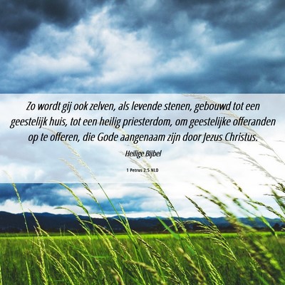 Picture 06 - 1 Petrus 2:5 NLD - Zo wordt gij ook zelven, als levende stenen, - Bible Verse Picture