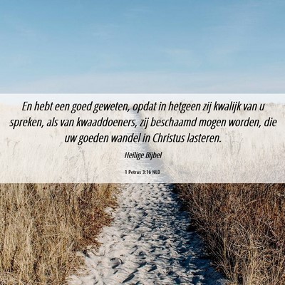 Picture 06 - 1 Petrus 3:16 NLD - En hebt een goed geweten, opdat in hetgeen zij - Bible Verse Picture