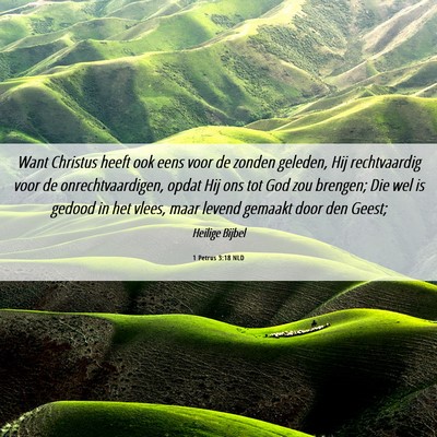 Picture 06 - 1 Petrus 3:18 NLD - Want Christus heeft ook eens voor de zonden - Bible Verse Picture