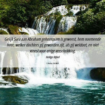 Picture 06 - 1 Petrus 3:6 NLD - Gelijk Sara aan Abraham gehoorzaam is geweest, - Bible Verse Picture
