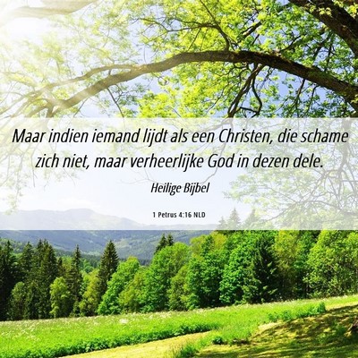 Picture 06 - 1 Petrus 4:16 NLD - Maar indien iemand lijdt als een Christen, die - Bible Verse Picture